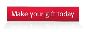 make your gift online